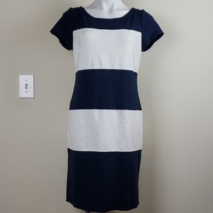 Banana Republic Navy & White Striped Dress